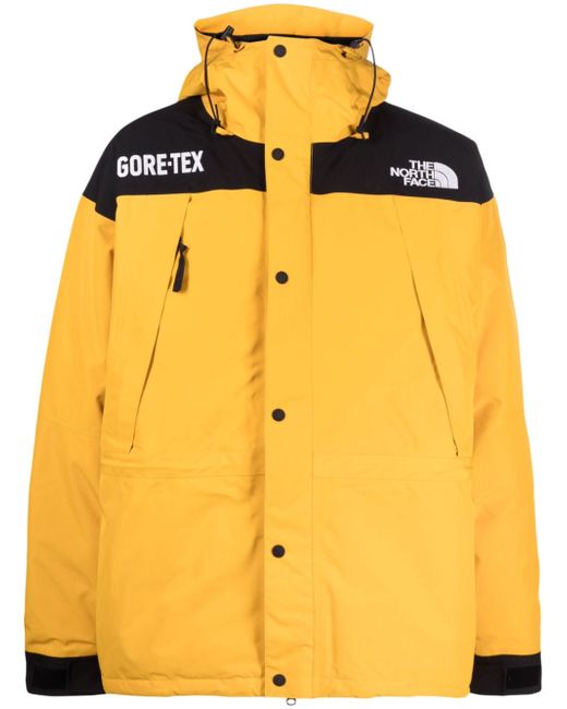 The North Face Gore-Tex Mountain Guide insulated jacket