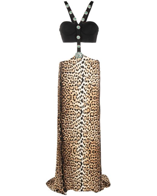 Roberto Cavalli leopard-print panelled maxi dress