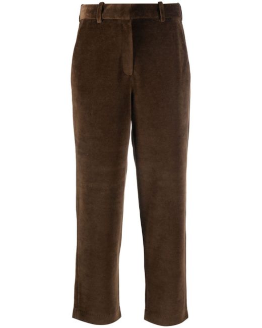 Circolo 1901 velour chino trousers