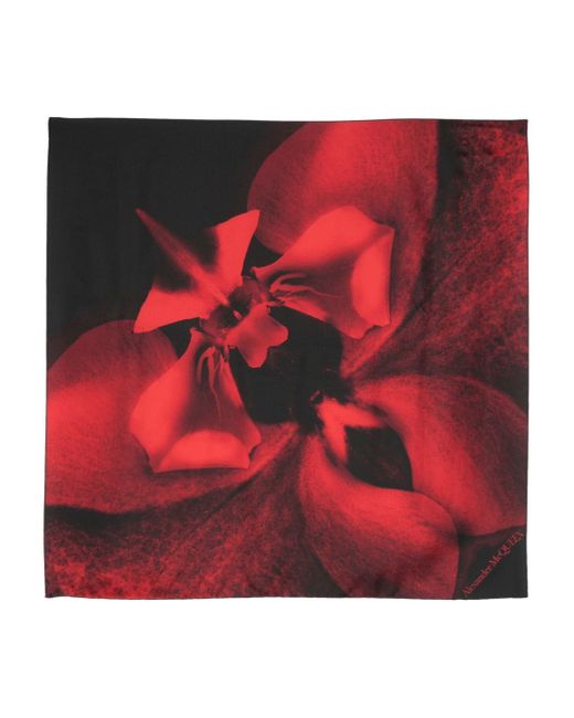 Alexander McQueen floral-print scarf