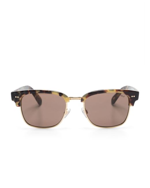 Polo Ralph Lauren Clubmaster-frame tinted sunglasses