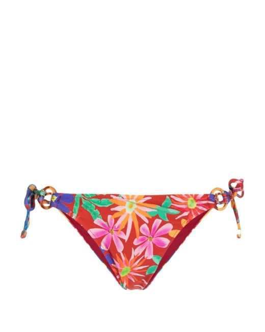 Patbo Aster floral-print bikini brief