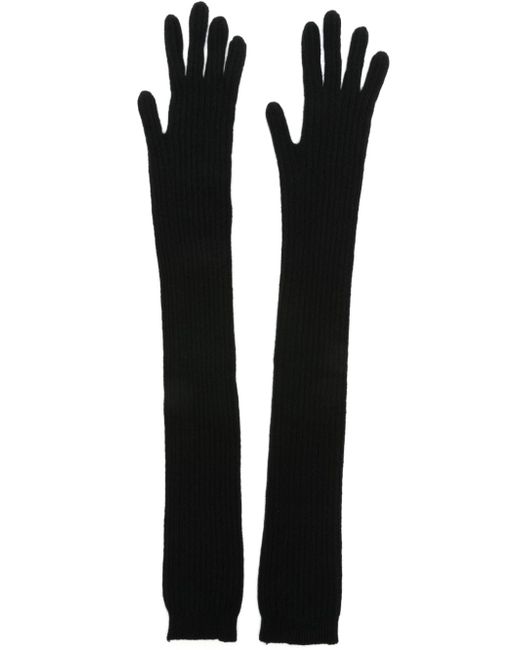 Alberta Ferretti elbow-length ribbed-knit gloves
