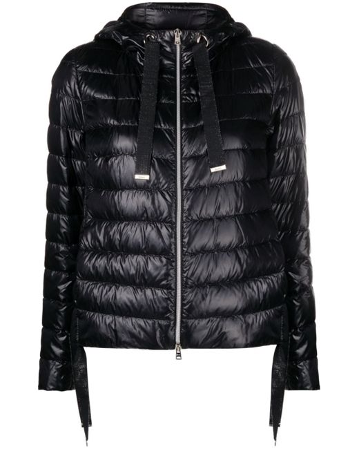 Herno hooded quilted jacket