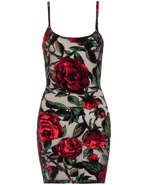 Balmain rose-print sheer minidress