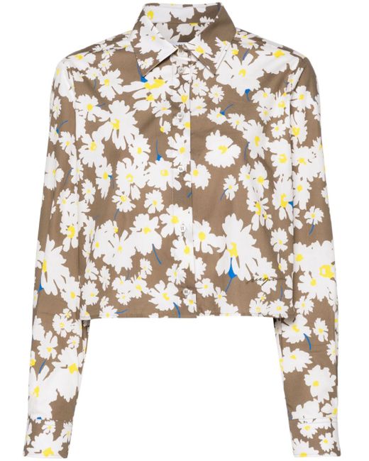 Msgm floral-print shirt