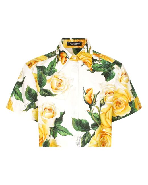 Dolce & Gabbana rose-print shirt