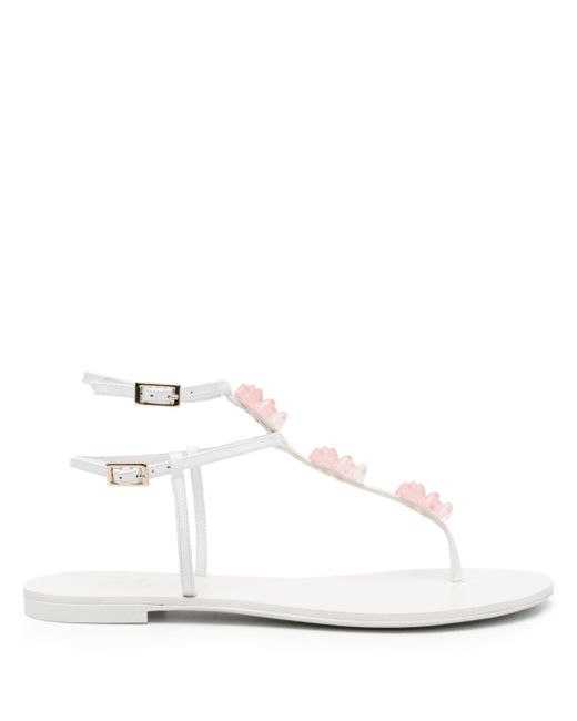 Alevì Jelly leather flat sandals