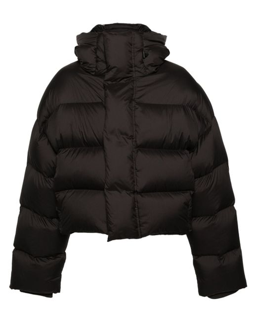 Entire studios hooded duck-down puffer jacket