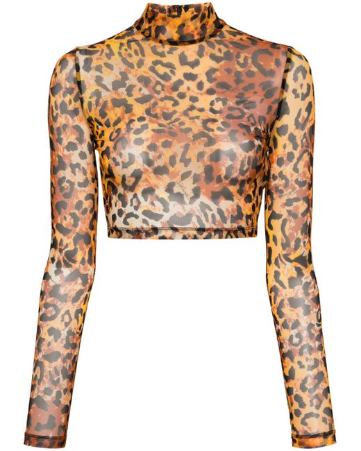 Just Cavalli leopard-print cropped top