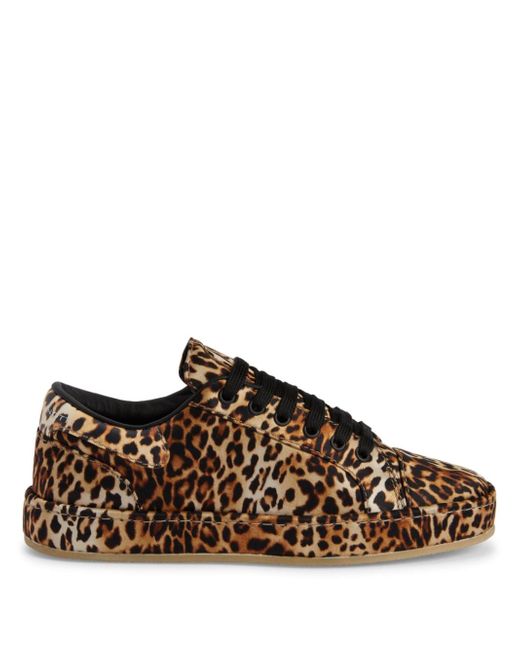 Giuseppe Zanotti Design GZ-City leopard-print sneakers