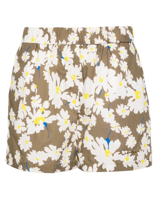 Msgm floral-print cotton shorts