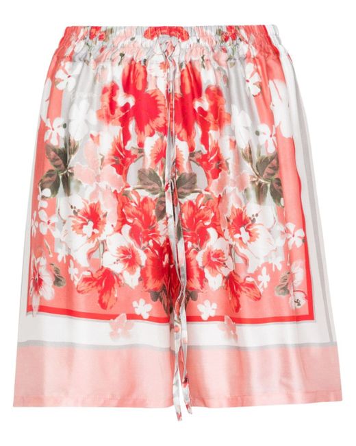 Ermanno Firenze floral-print satin shorts