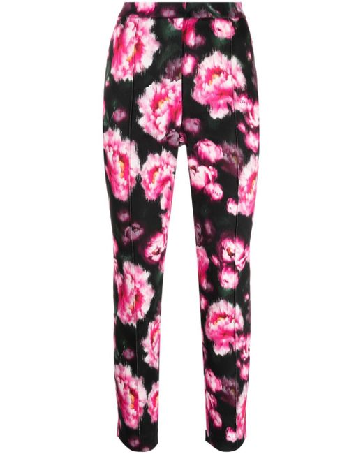 Adam Lippes Daphne floral-print straight trousers