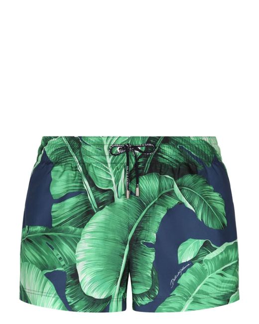 Dolce & Gabbana leaf-print swim shorts