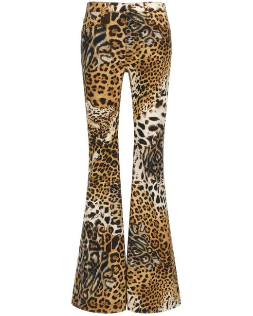 Roberto Cavalli leopard-print flared trousers