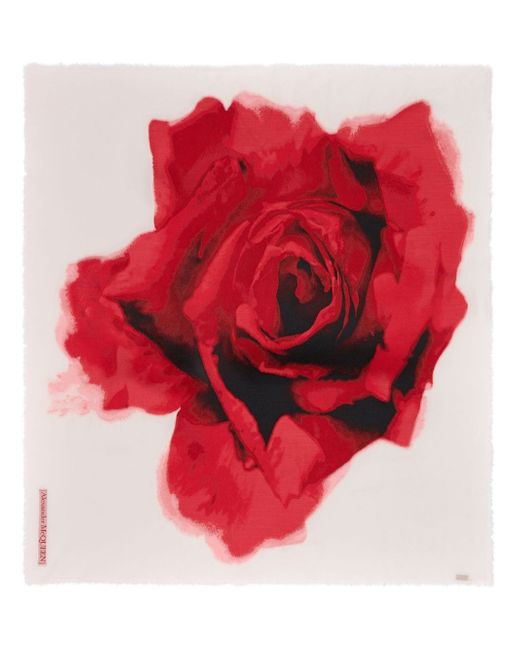Alexander McQueen Bleeding Rose graphic-print scarf