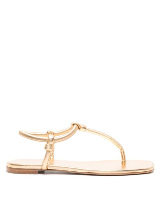Gianvito Rossi Juno thong leather sandals