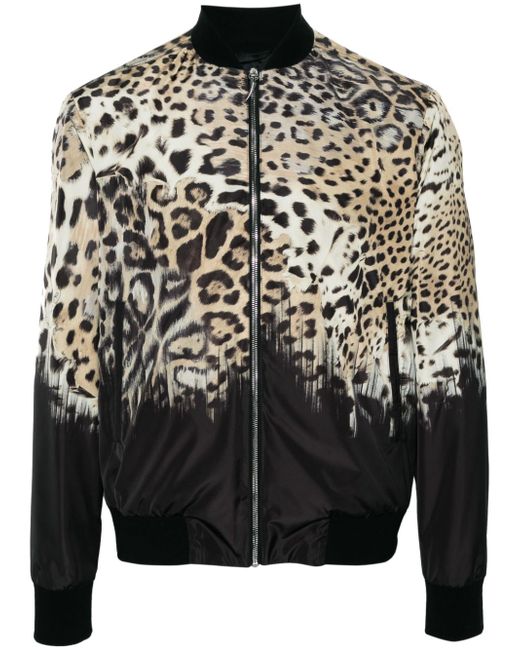 Roberto Cavalli Tiger Tooth-detailed leopard-print bomber jacket