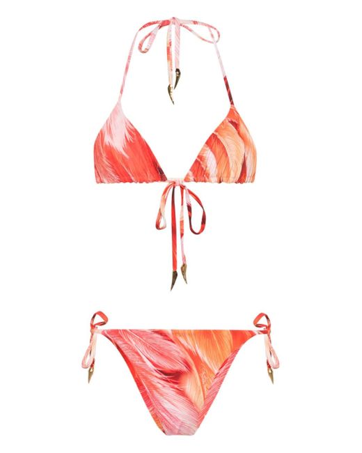 Roberto Cavalli Tiger Tooth-detailed feather-print bikini