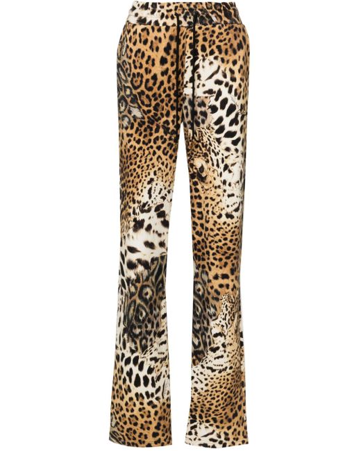 Roberto Cavalli Jaguar Skin-print track pants