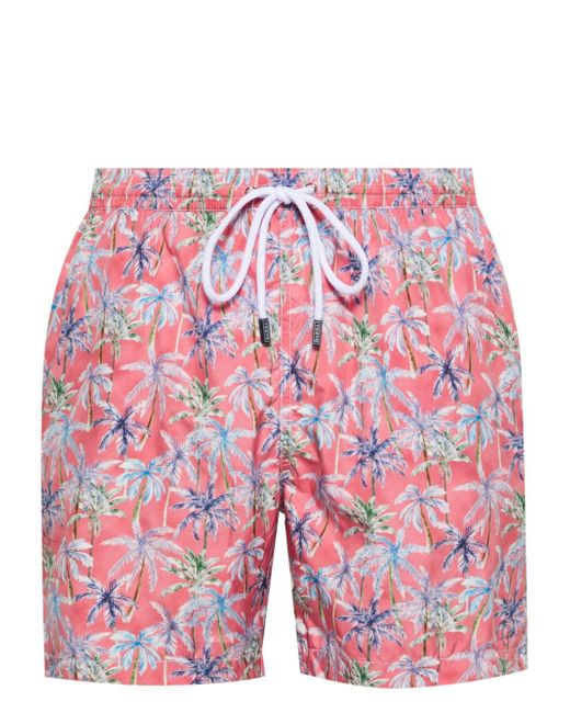 Barba palm tree-print swim shorts