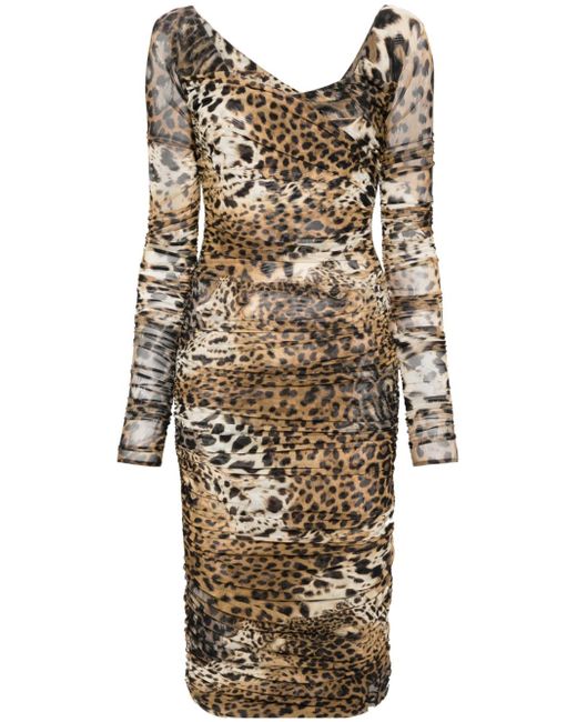 Roberto Cavalli leopard-print mesh midi dress