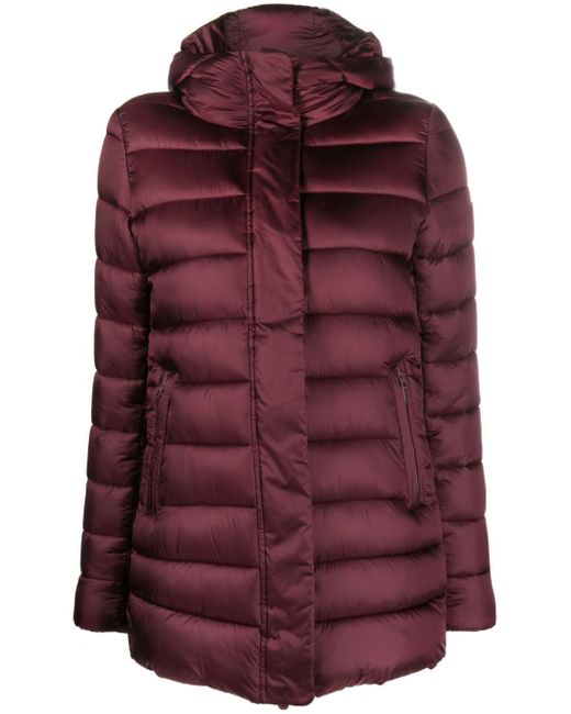 Save The Duck Drimia hooded puffer jacket