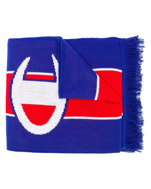 Champion fringe logo scarf