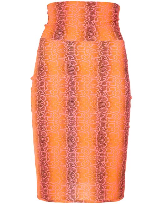 Amir Slama python print skirt
