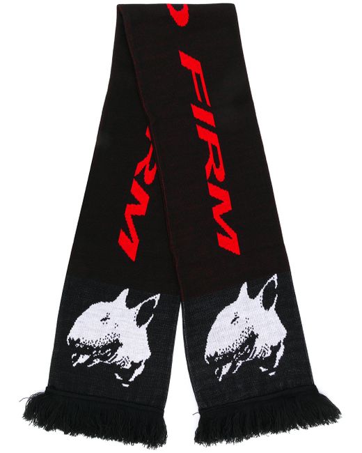 Represent Bull Terrier scarf