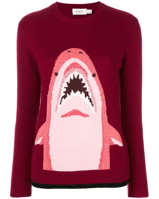 Coach shark sweater