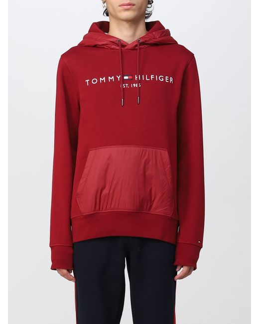 Tommy Hilfiger Sweatshirt colour