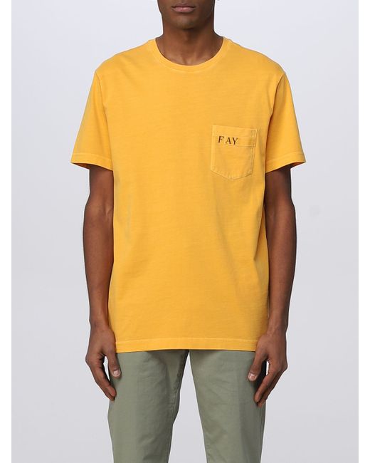 Fay T-Shirt colour