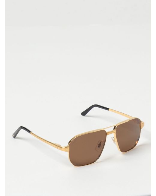 Cartier Sunglasses colour