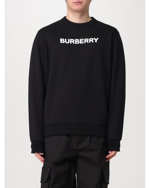 Burberry Sweatshirt colour