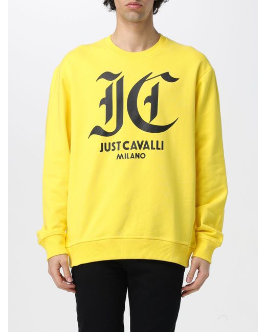 Just Cavalli Sweatshirt colour
