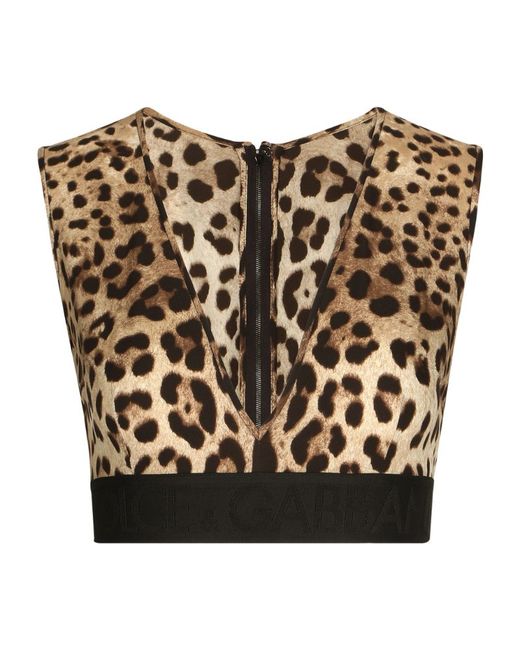 Dolce & Gabbana Leopard Print Crop Top