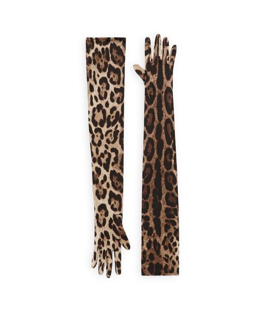 Dolce & Gabbana KIM Silk Long Gloves
