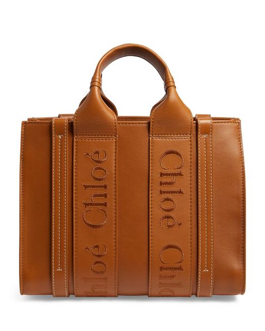 Chloé Small Leather Woody Tote Bag