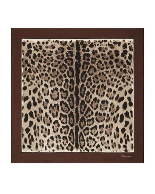 Dolce & Gabbana Leopard Print Scarf