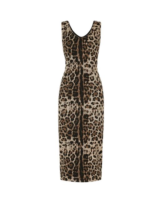 Dolce & Gabbana Leopard Print Midi Dress