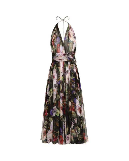 Dolce & Gabbana Rose Garden Print Dress