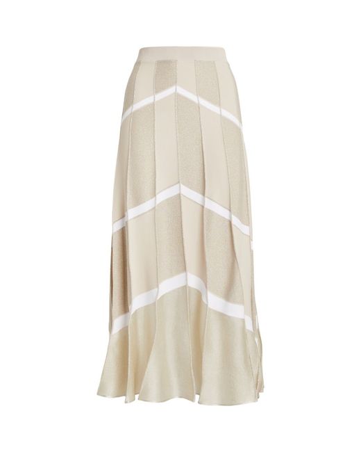 D.Exterior Striped Pleated Skirt