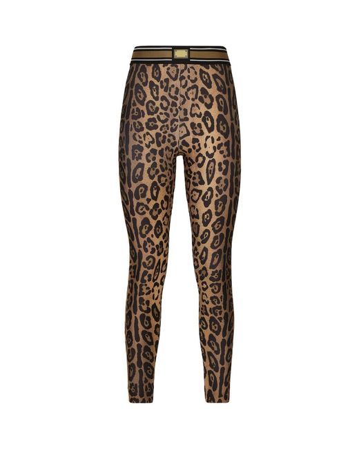 Dolce & Gabbana Leopard Print High-Rise Leggings