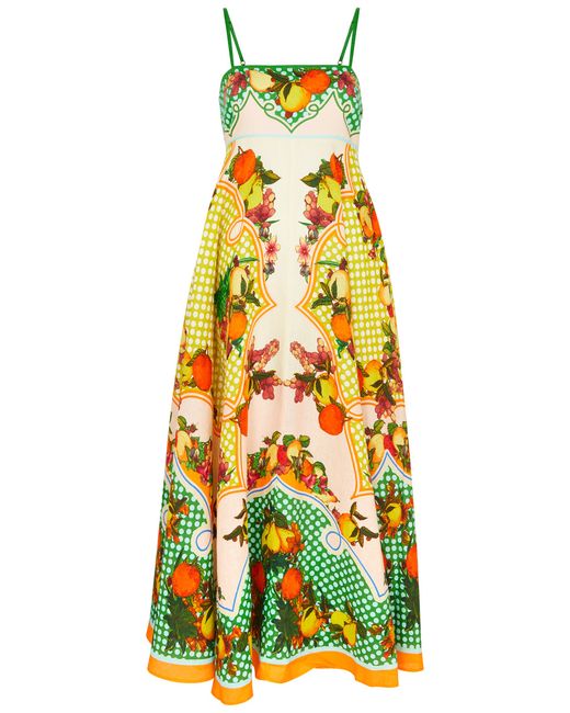 Alemais Lemonis Printed Linen Maxi Dress 6 UK6