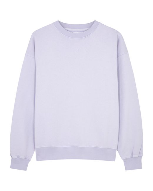 Colorful Standard Cotton Sweatshirt UK12