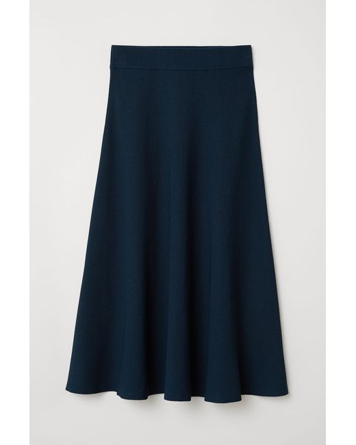 H & M Pleated Chiffon Skirt
