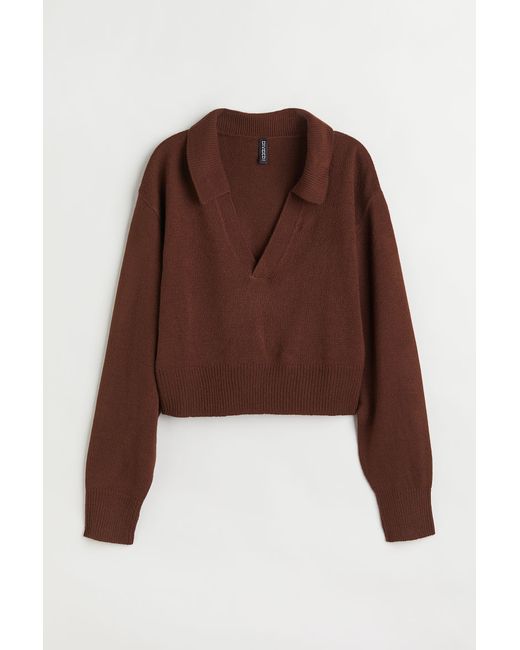 H & M Collared Sweater