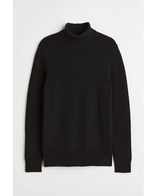 H & M Regular Fit Turtleneck Sweater